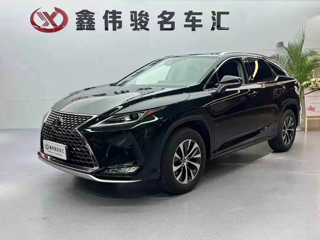 Lexus RX — фото 10