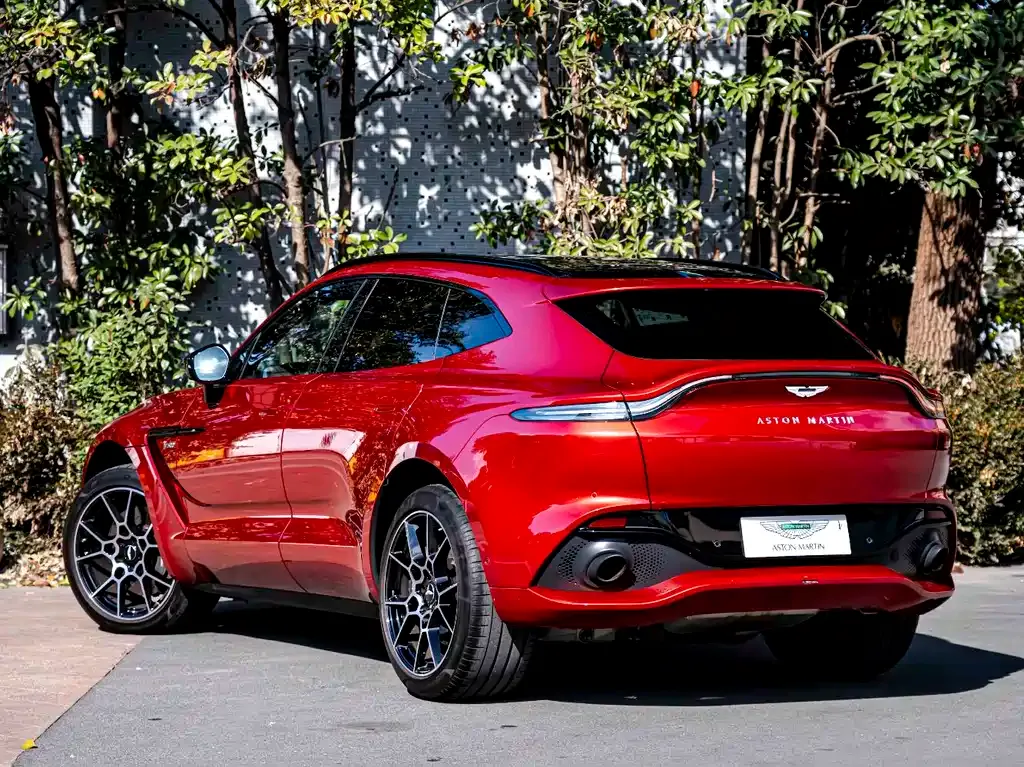 Aston Martin DBX — фото 10