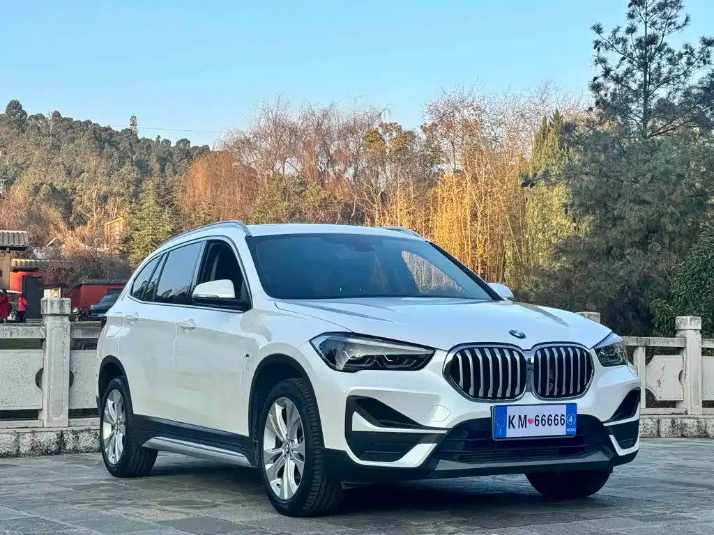 BMW X1 — фото 9