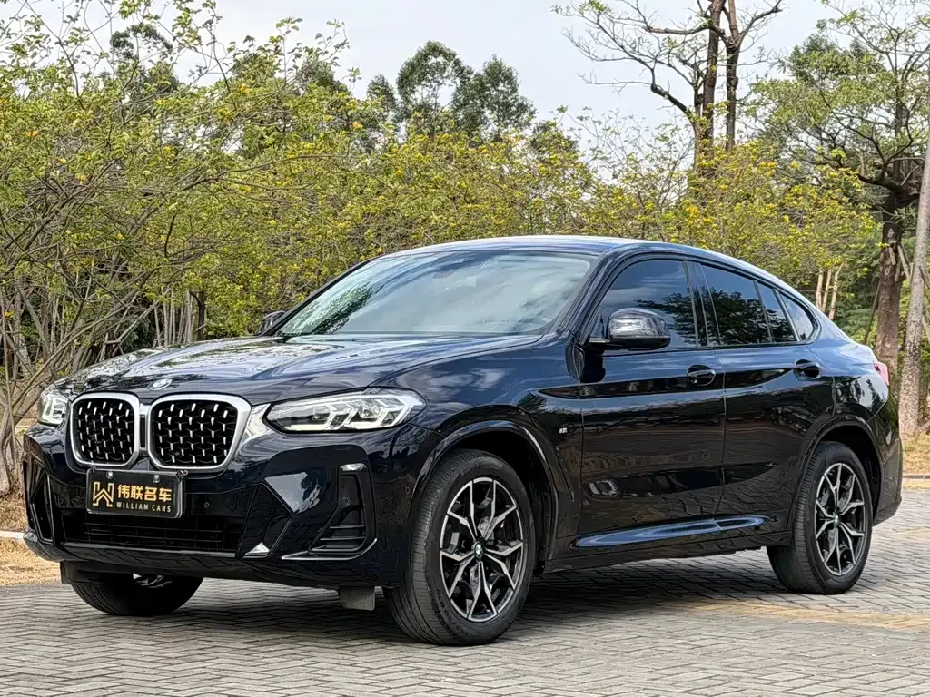 BMW X4 — фото 1