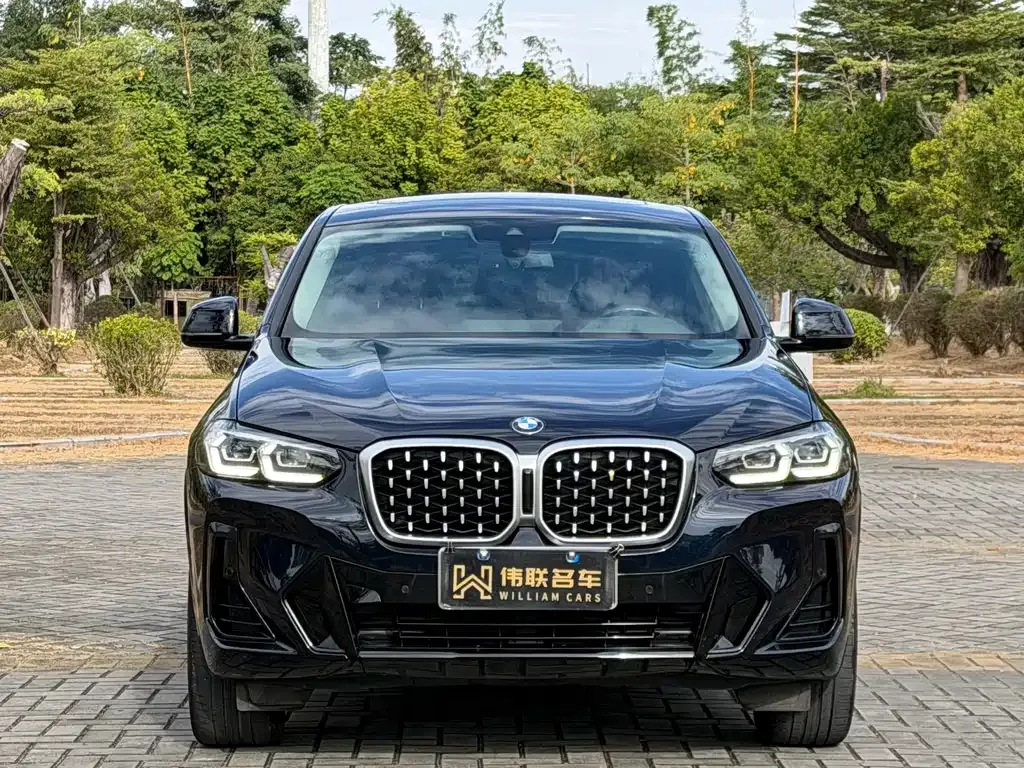 BMW X4 — фото 8