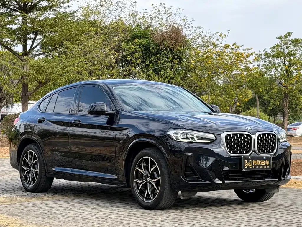 BMW X4 — фото 10