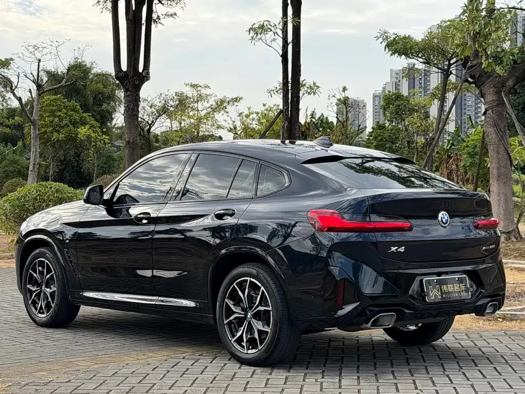 BMW X4 — фото 9