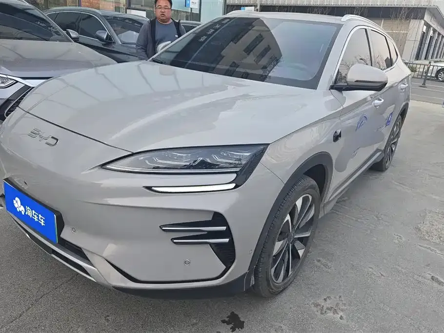 BYD PLUS New Energy — фото 1