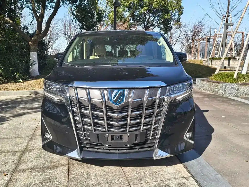 Toyota Alphard — фото 6