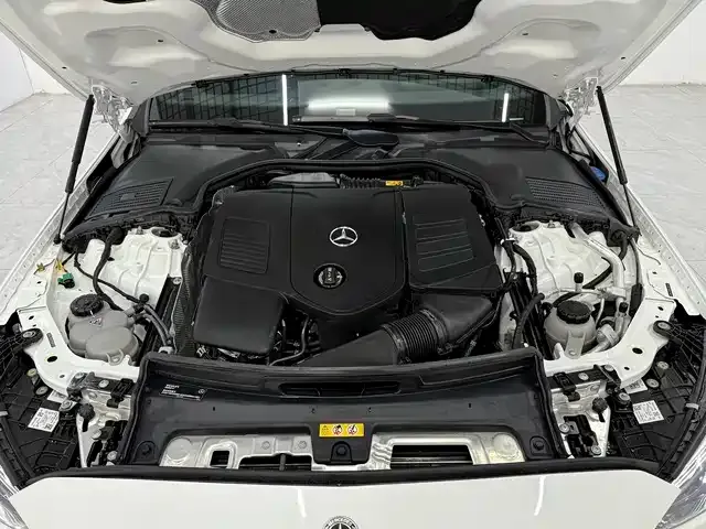 Mercedes-Benz C-Class New Energy — фото 6