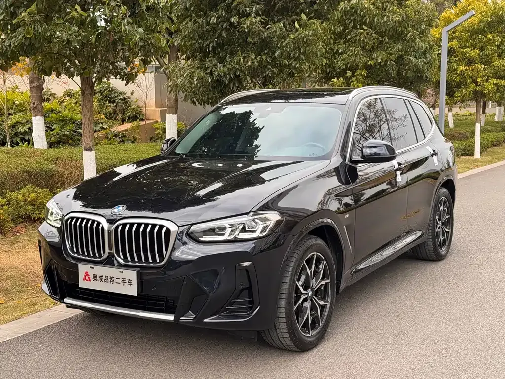 BMW X3 — фото 1