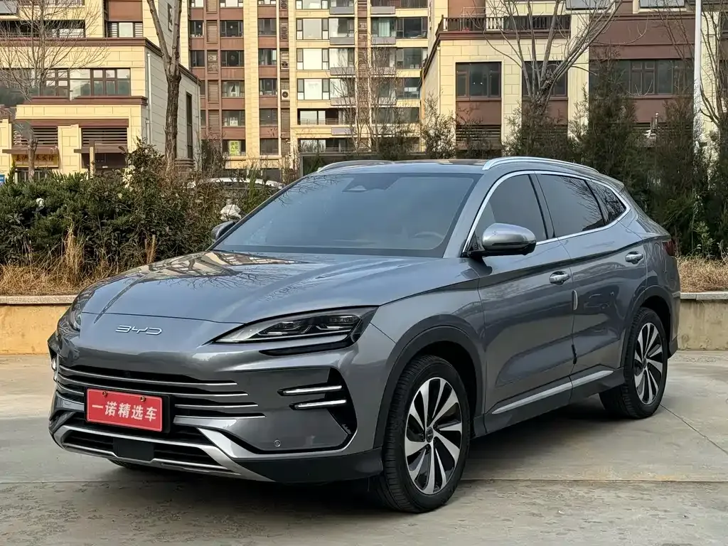 BYD PLUS New Energy — фото 1