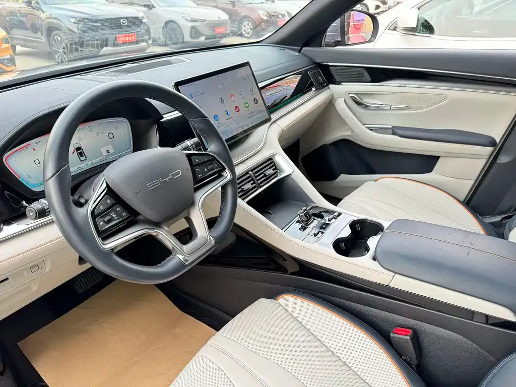 BYD PLUS New Energy — фото 6