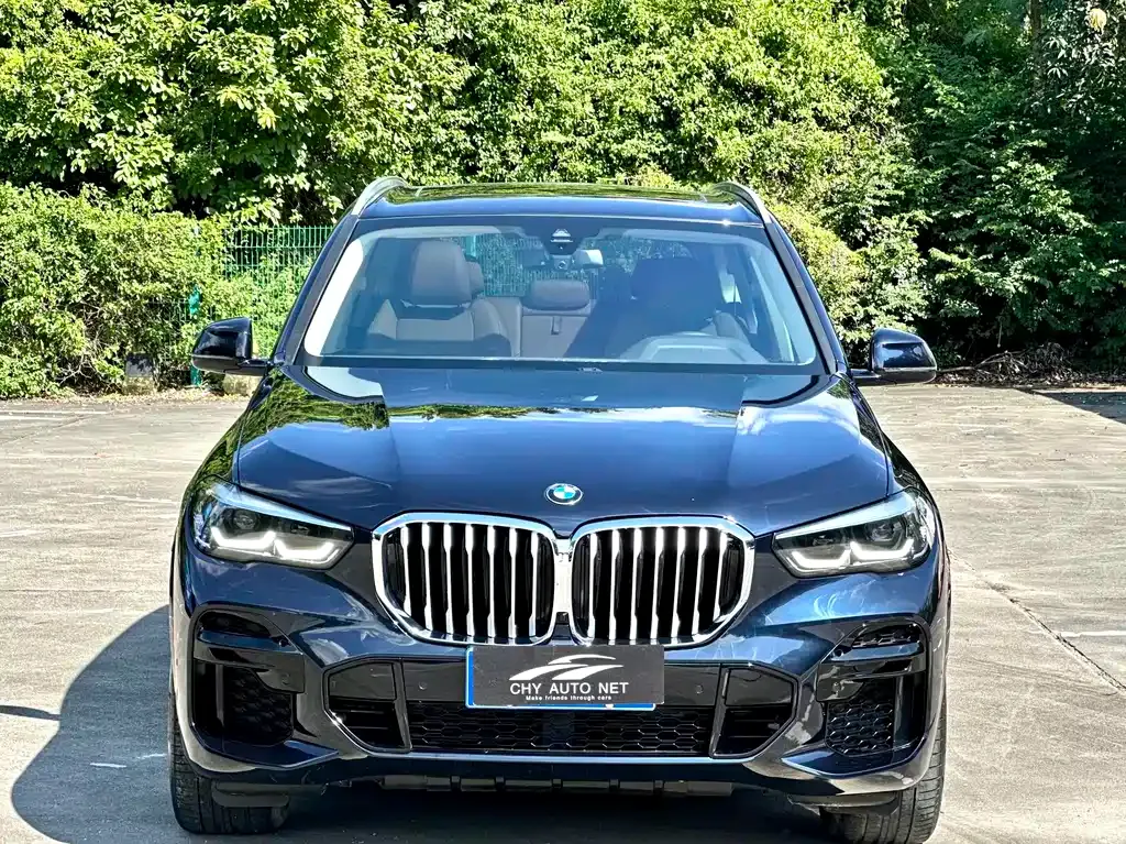 BMW X5 (Import) — фото 8
