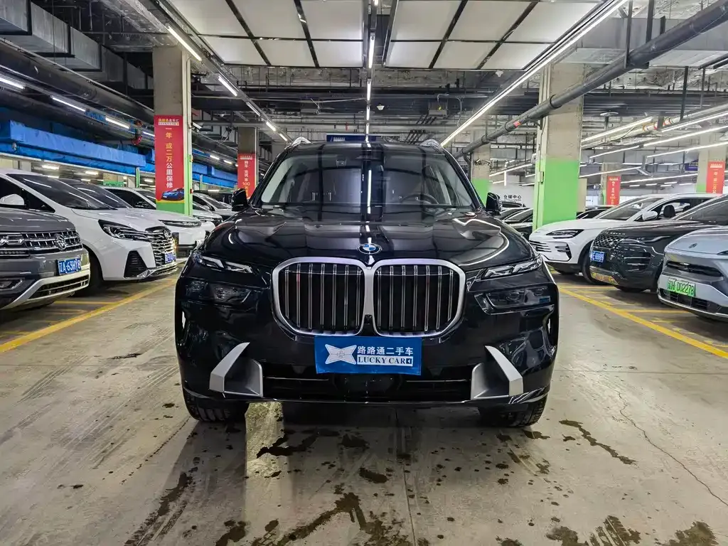 BMW X7 — фото 8