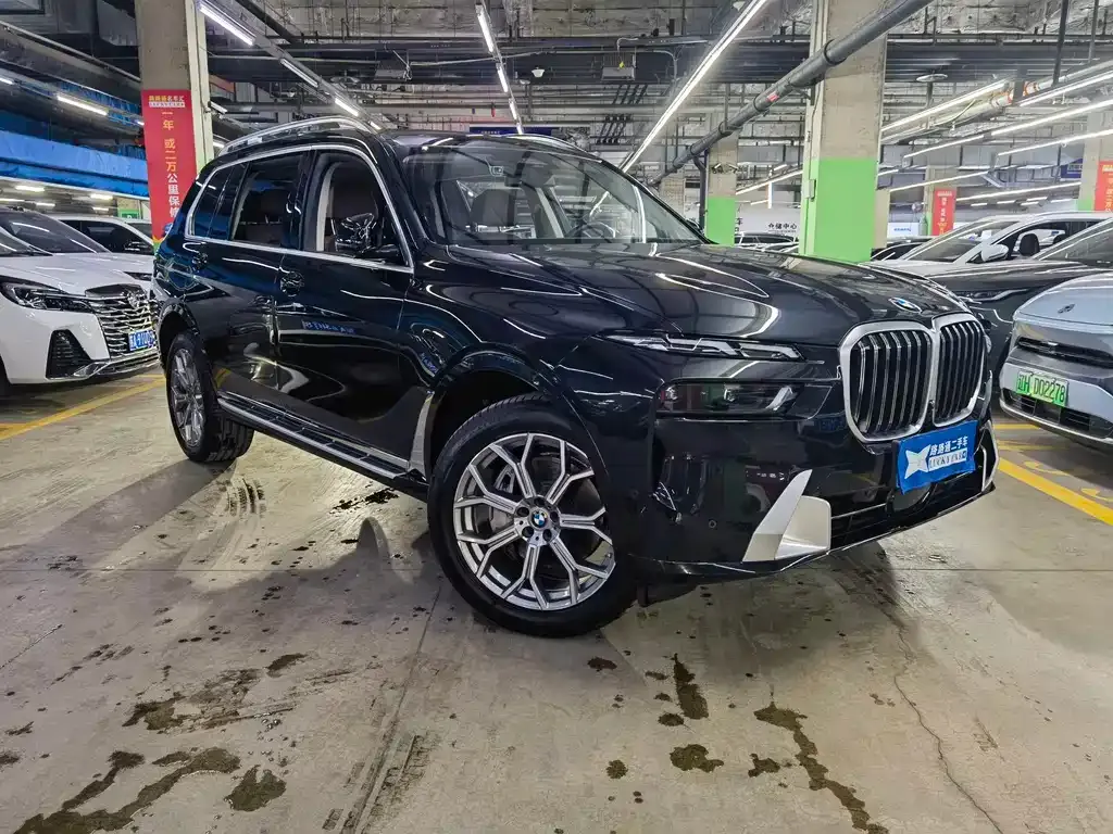 BMW X7 — фото 9