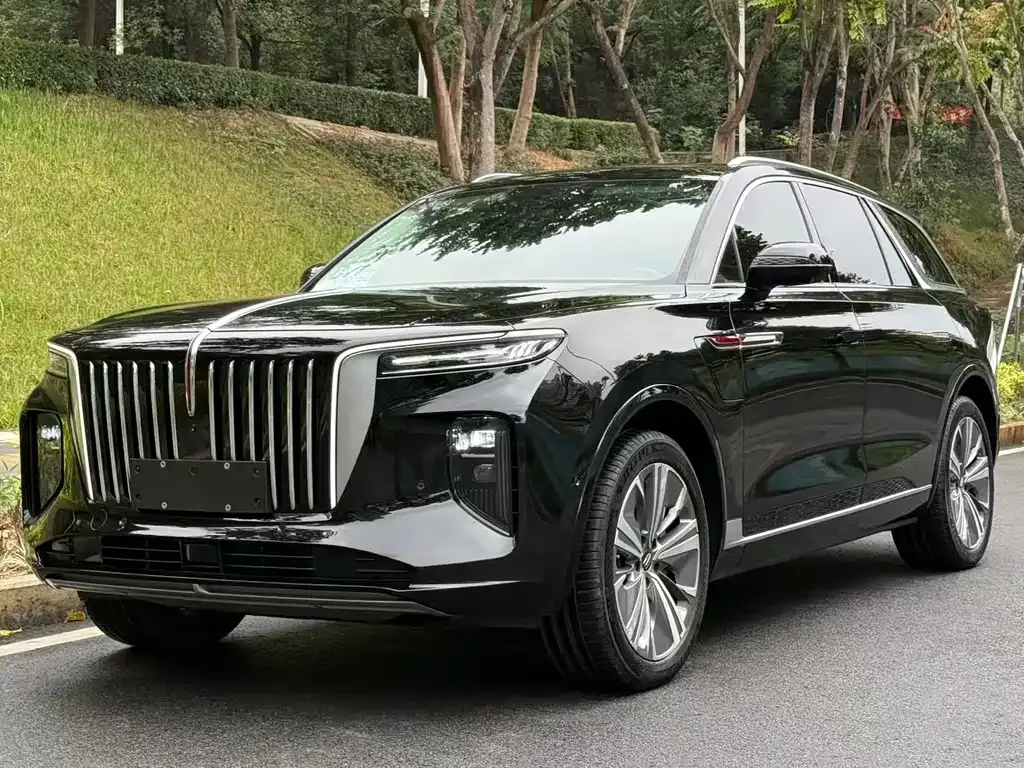 Hongqi E-HS9 — фото 1