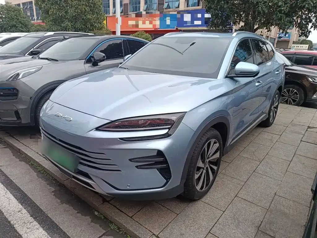 BYD PLUS New Energy — фото 4