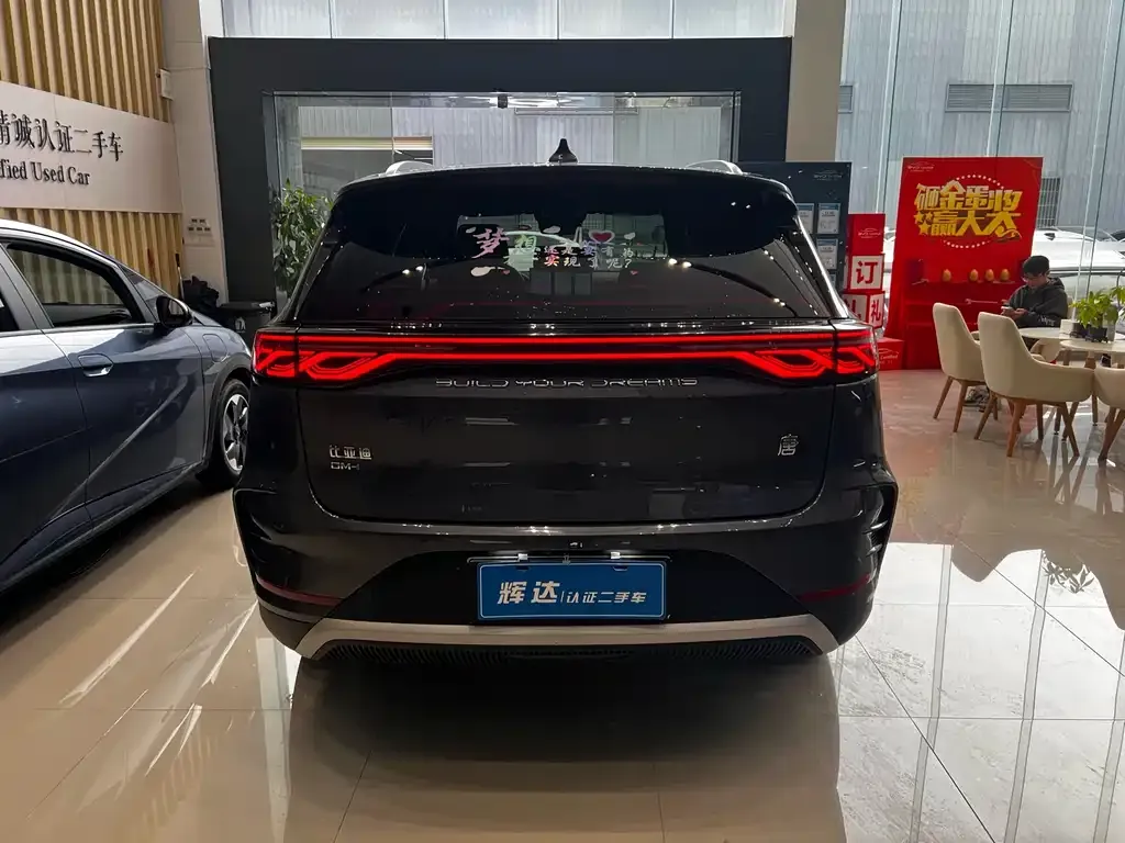 BYD Tang New Energy — фото 5