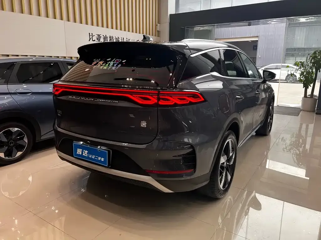 BYD Tang New Energy — фото 3