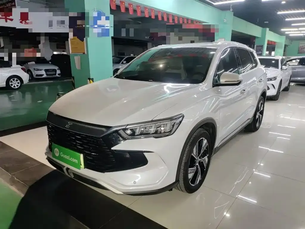 BYD Pro New Energy — фото 3