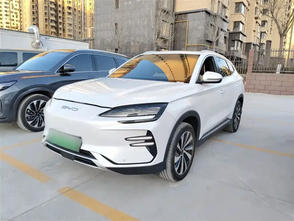BYD PLUS New Energy — фото 1