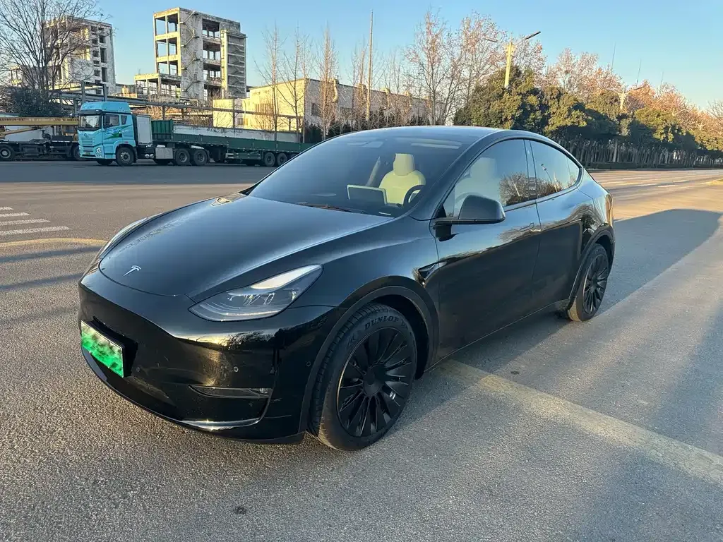 Tesla Model Y — фото 1