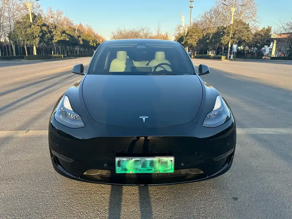 Tesla Model Y — фото 5