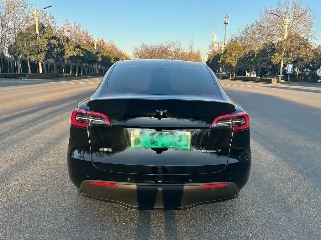 Tesla Model Y — фото 2