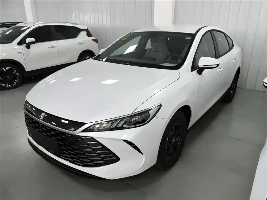 BYD Qin PLUS — фото 1