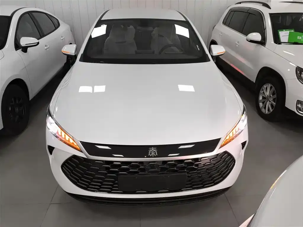 BYD Qin PLUS — фото 3