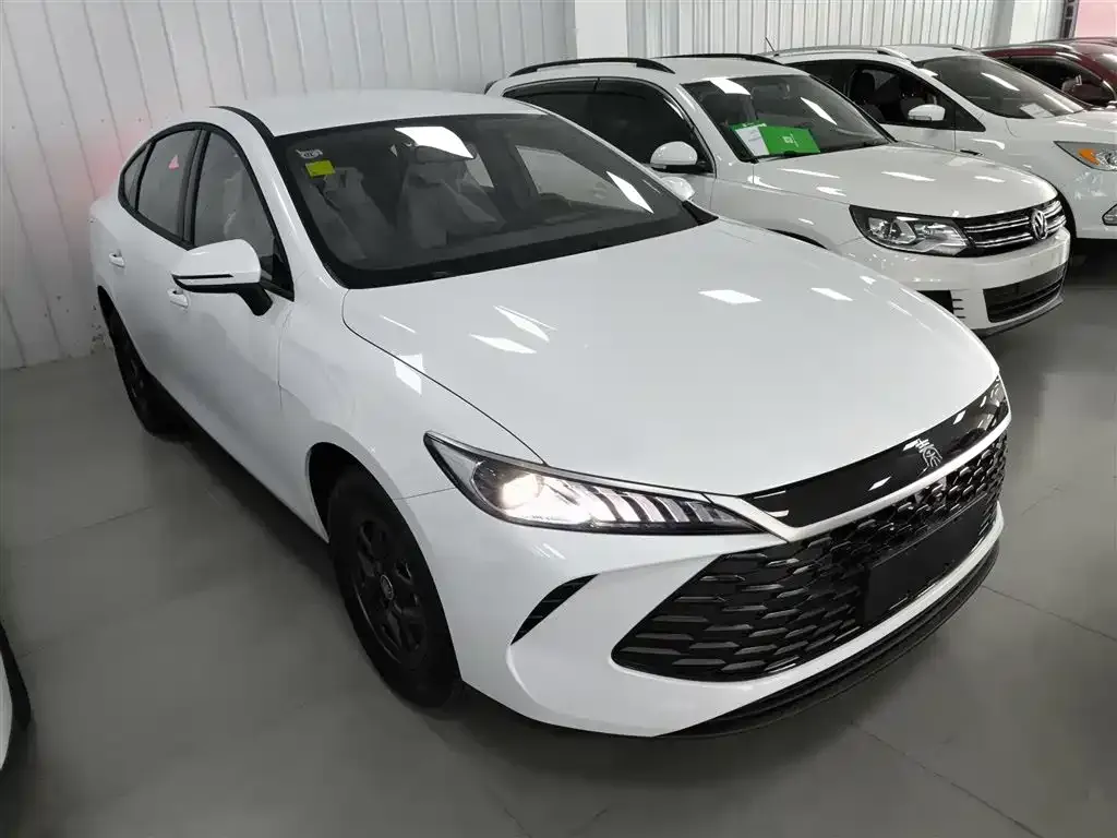 BYD Qin PLUS — фото 4