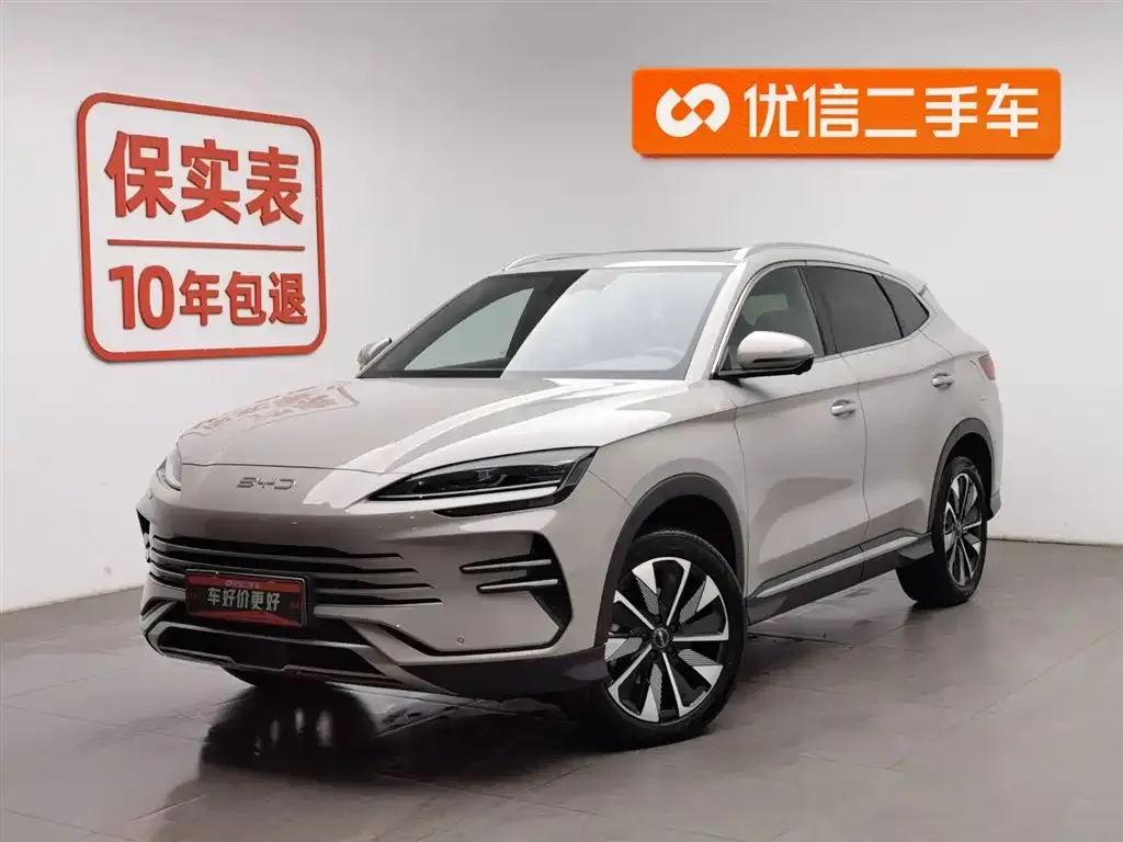 BYD PLUS New Energy — фото 1