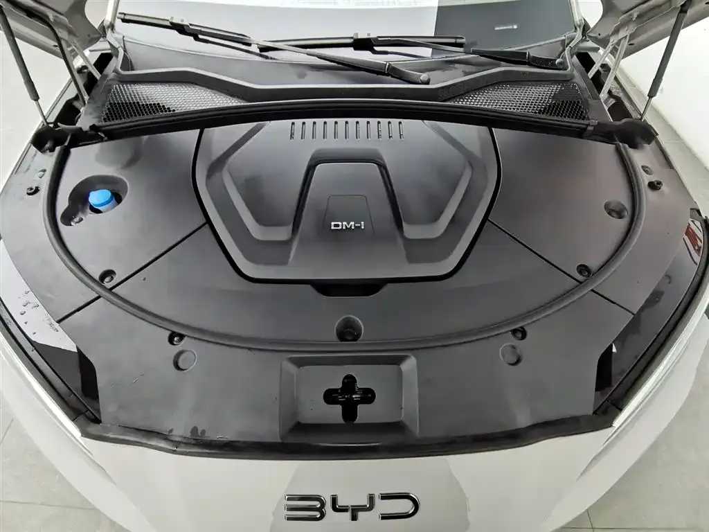 BYD PLUS New Energy — фото 9