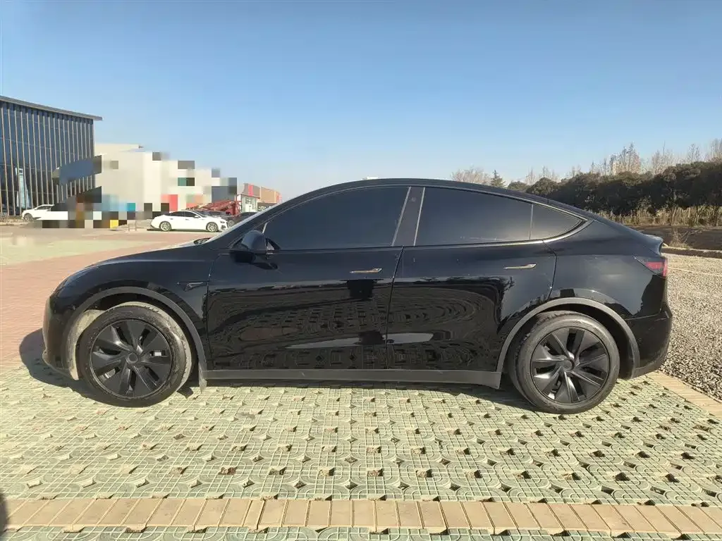 Tesla Model Y — фото 3