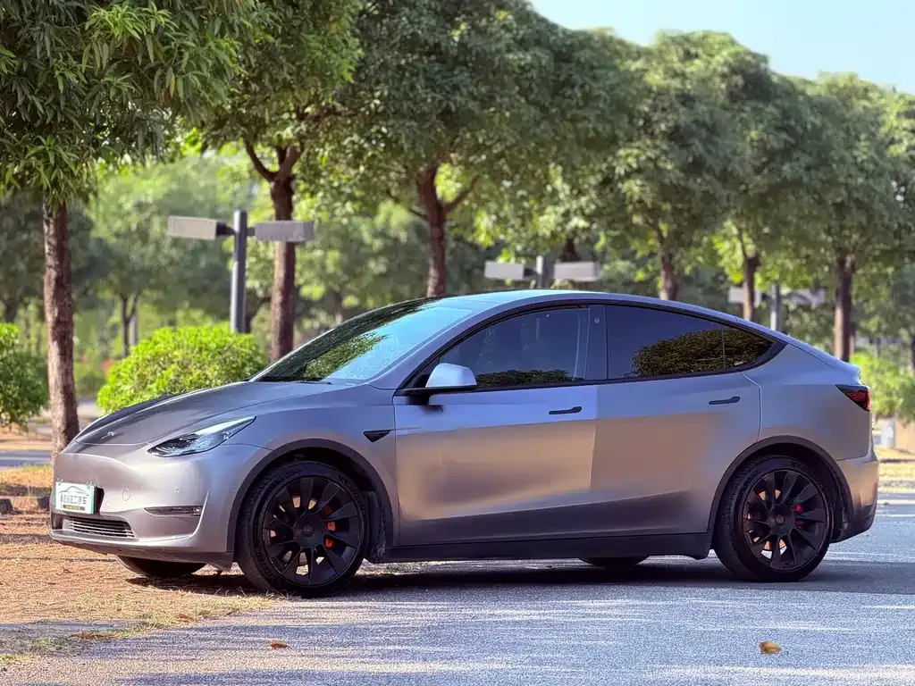Tesla Model Y — фото 1
