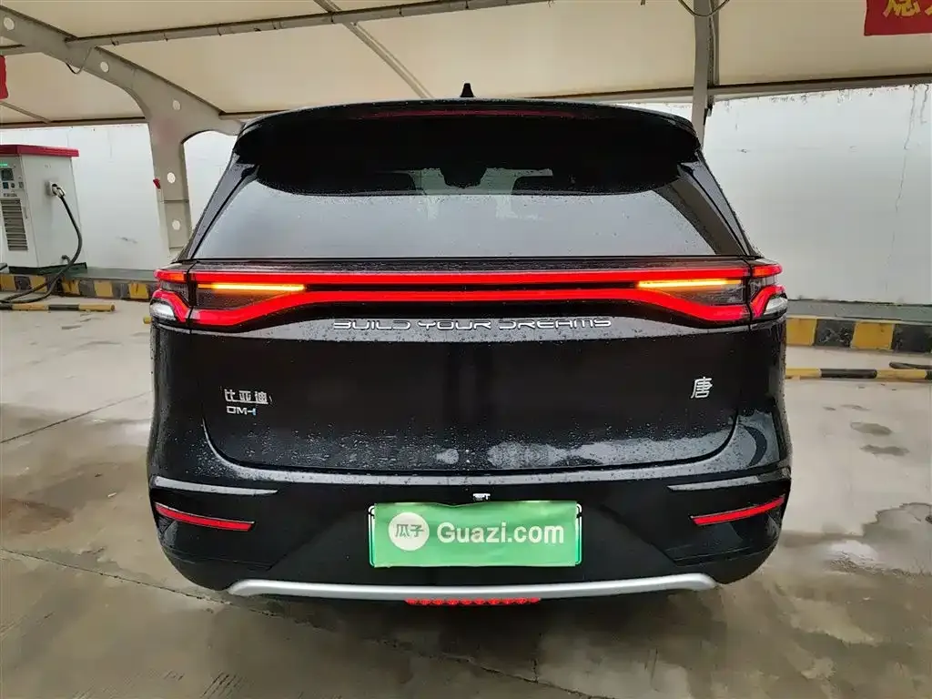BYD Tang New Energy — фото 10