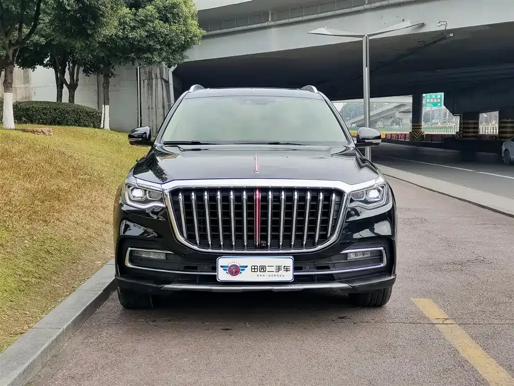 Hongqi HS7 — фото 10