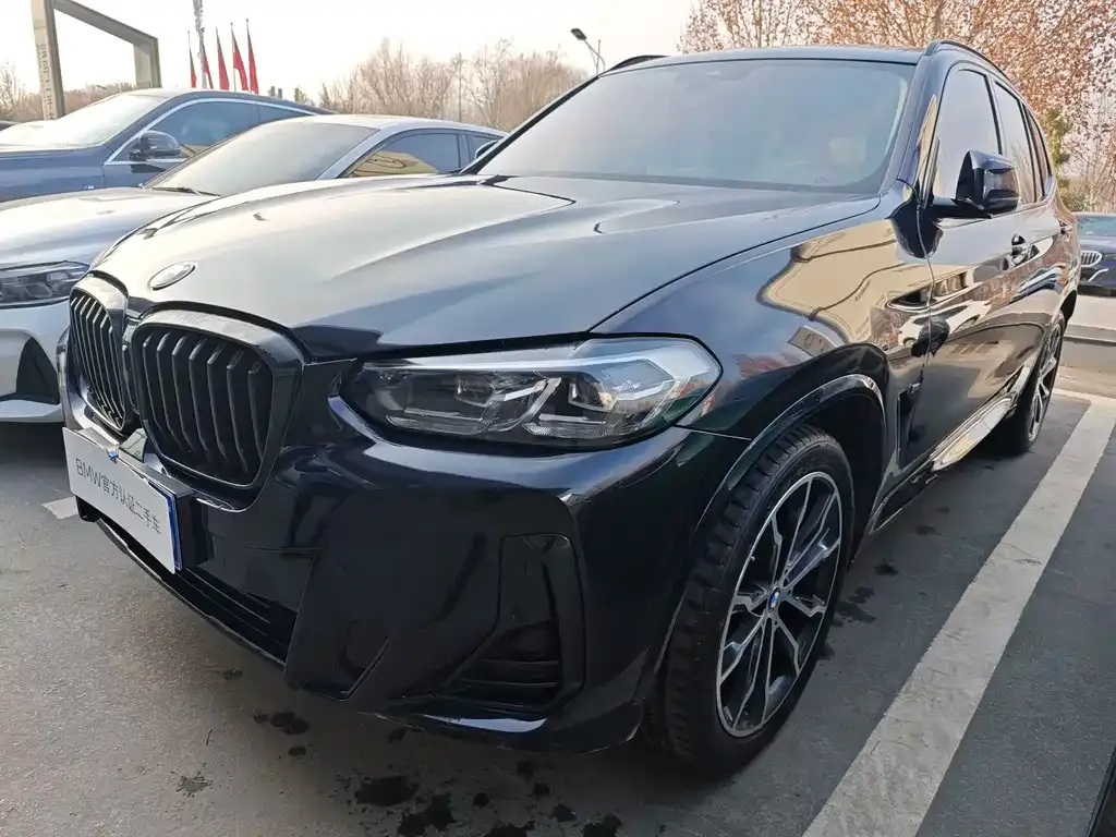 BMW X3 — фото 1