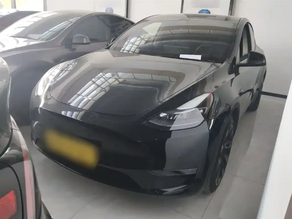 Tesla Model Y — фото 2
