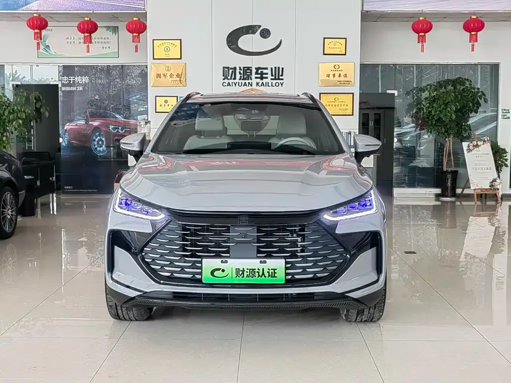 BYD Tang New Energy — фото 3