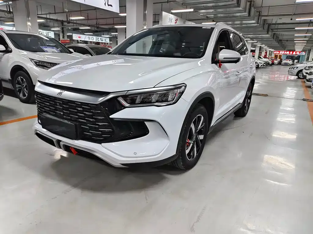 BYD Pro New Energy — фото 1
