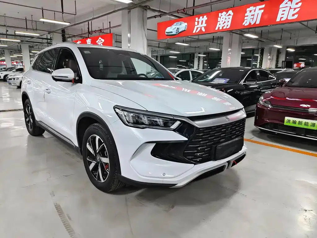 BYD Pro New Energy — фото 4