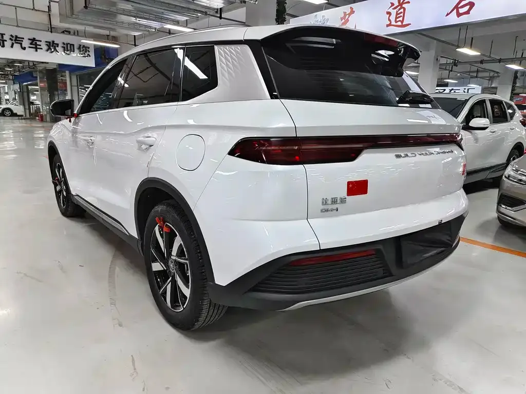 BYD Pro New Energy — фото 9