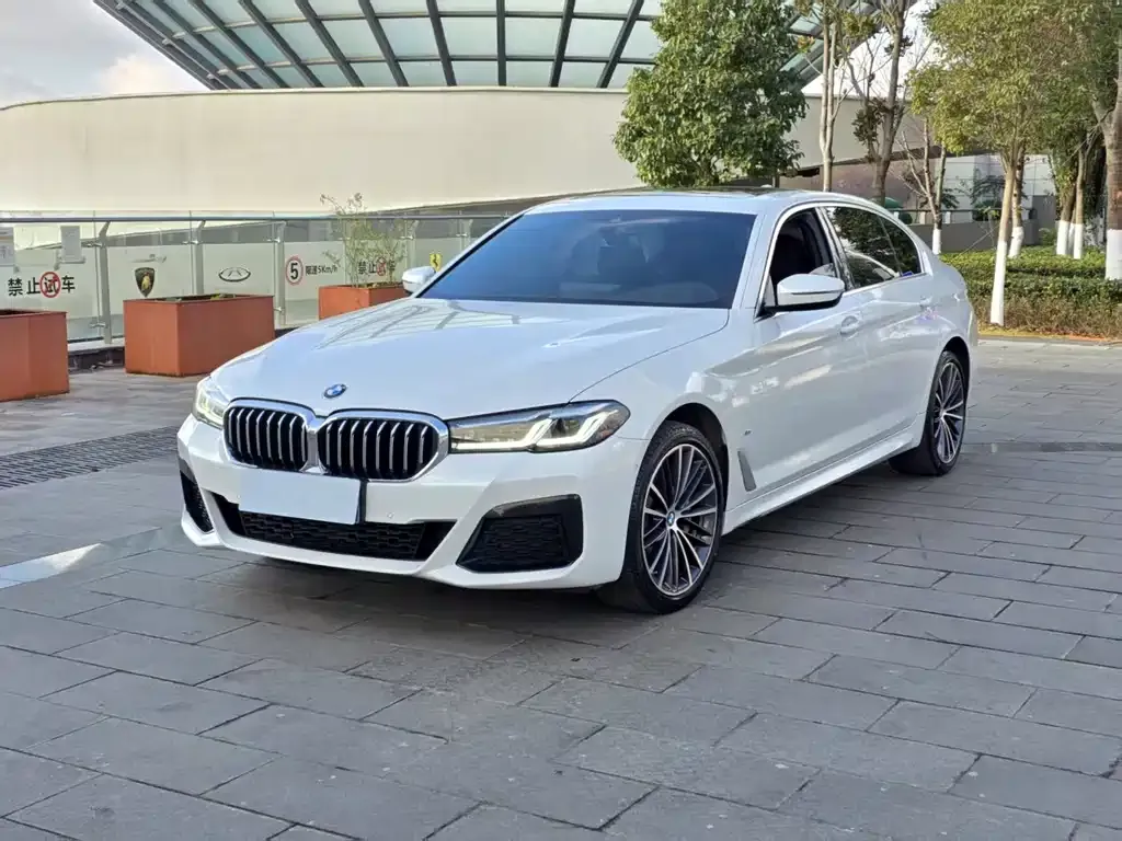 BMW 5 Series — фото 1