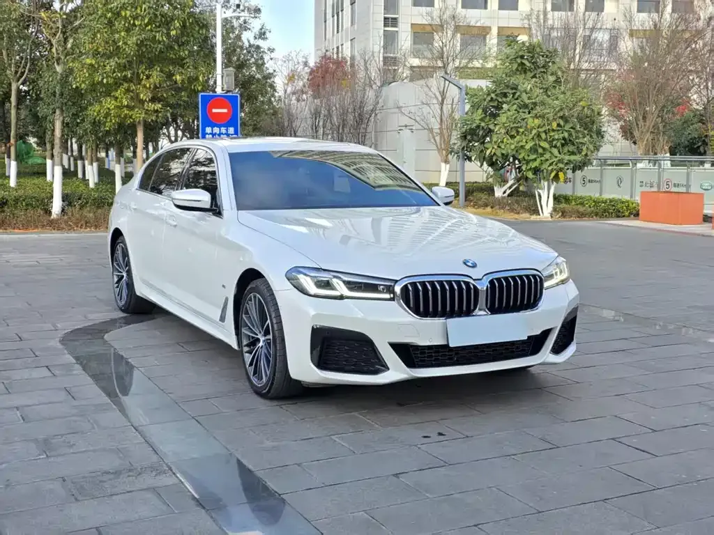 BMW 5 Series — фото 4