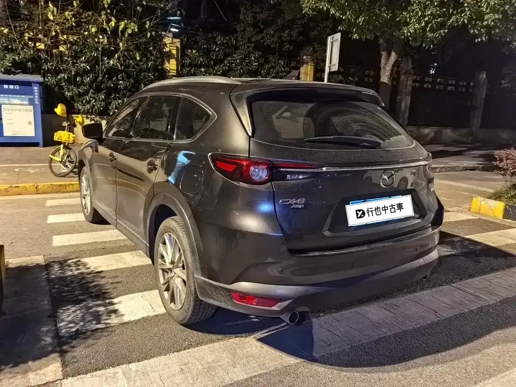 Mazda CX-8 — фото 10