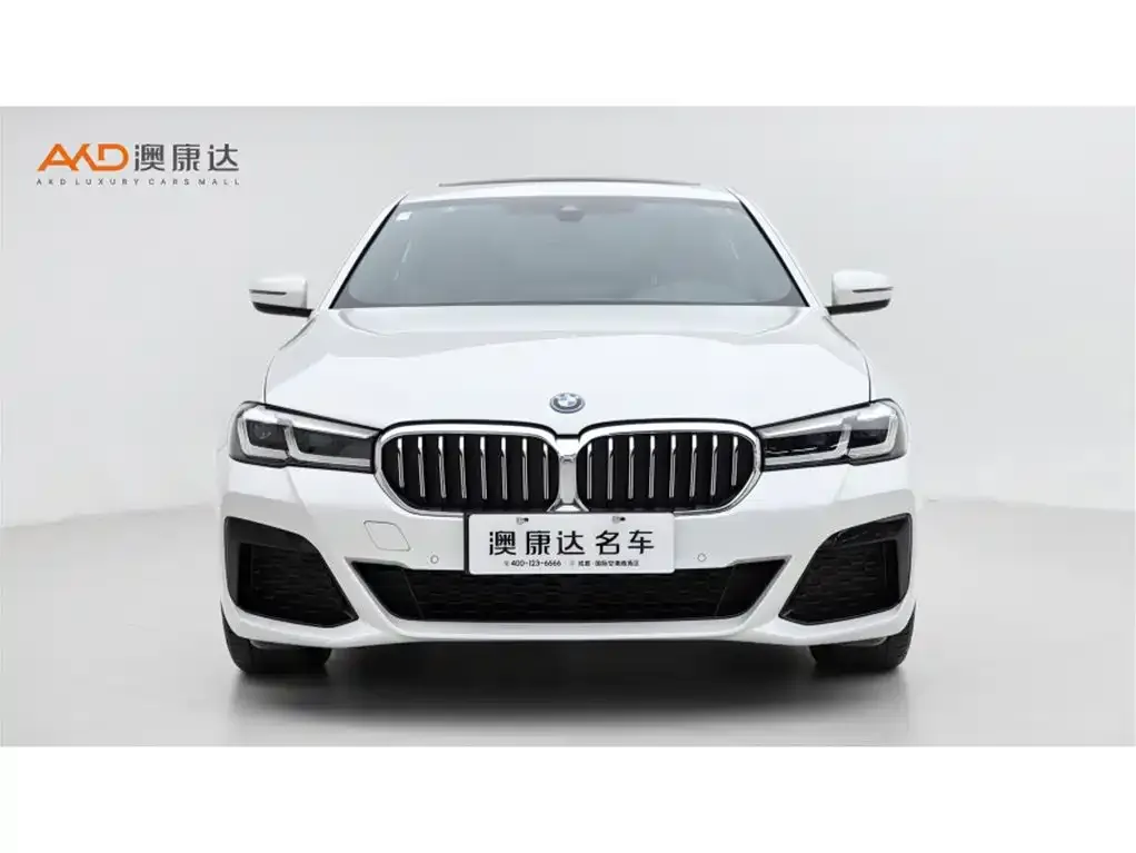 BMW 5 Series New Energy — фото 3