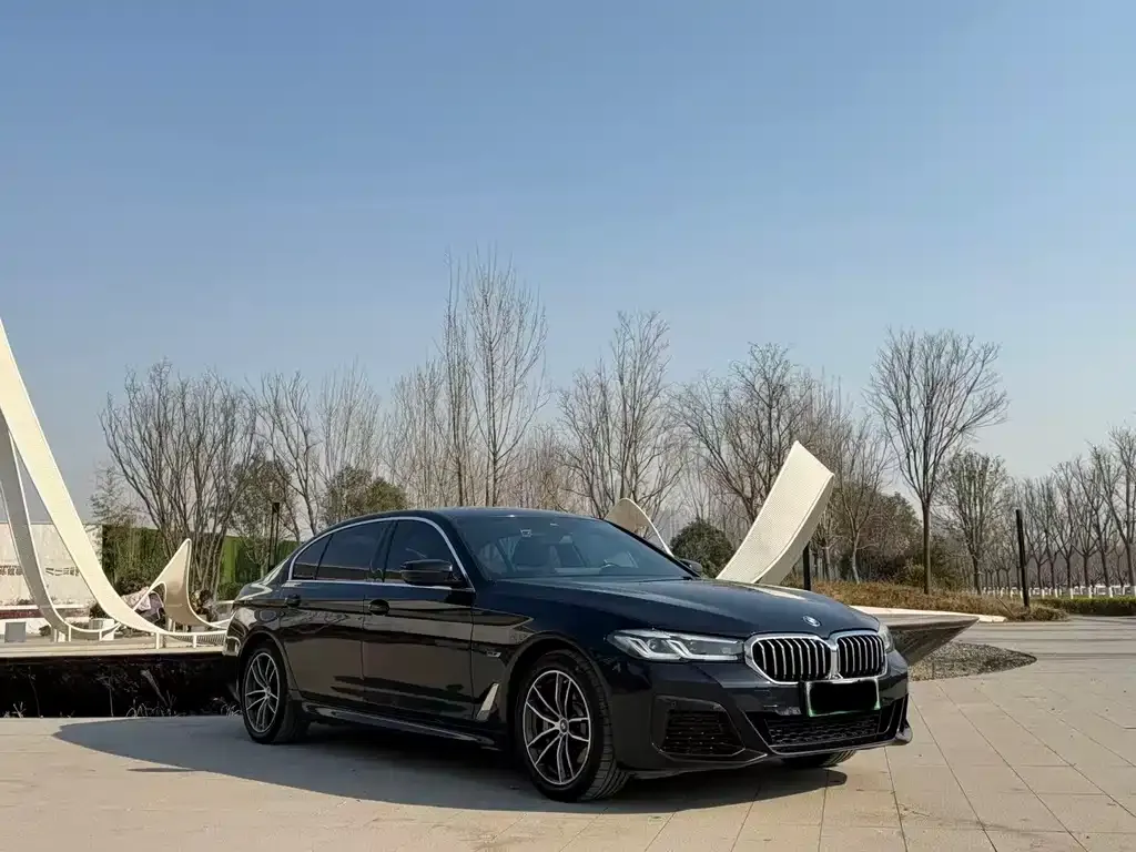 BMW 5 Series New Energy — фото 2