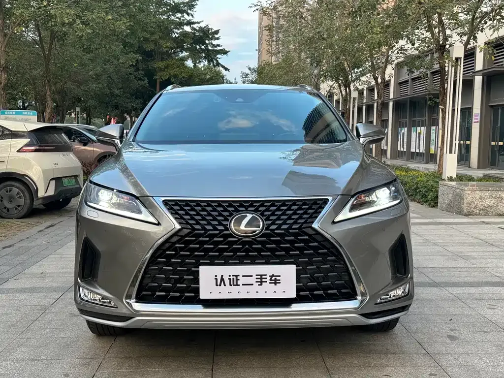 Lexus RX — фото 9