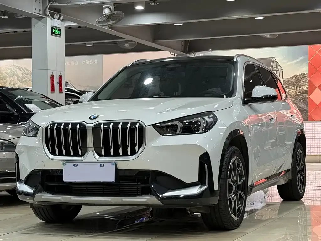 BMW X1 — фото 1