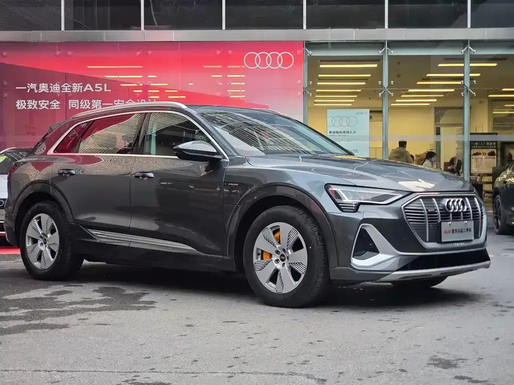 Audi e-tron — фото 8