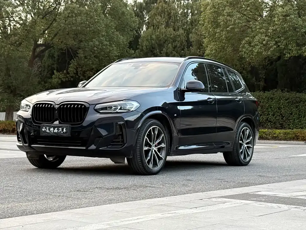 BMW X3 — фото 1