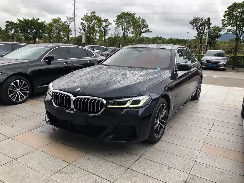 BMW 5 Series New Energy — фото 1